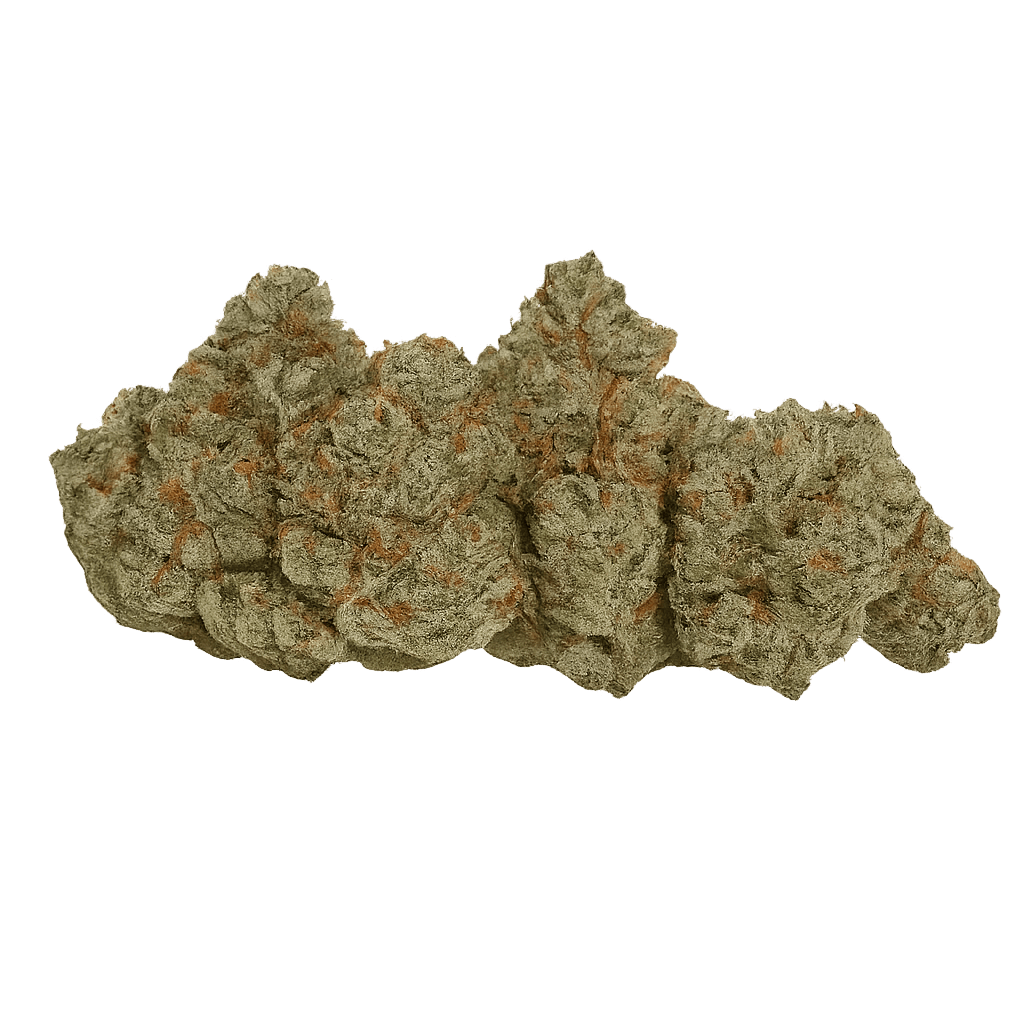 avaay Signature 29/1 OGC Ocean Grown Cookies