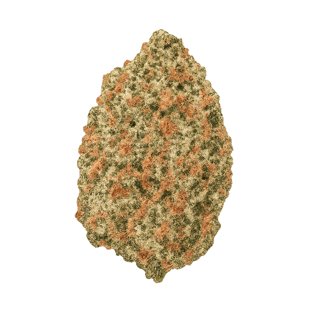 avaay Signature 31/1 OGC Ocean Grown Cookies