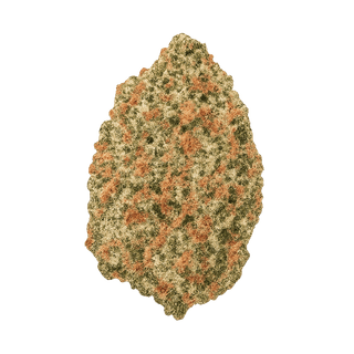Ocean Grown Cookies