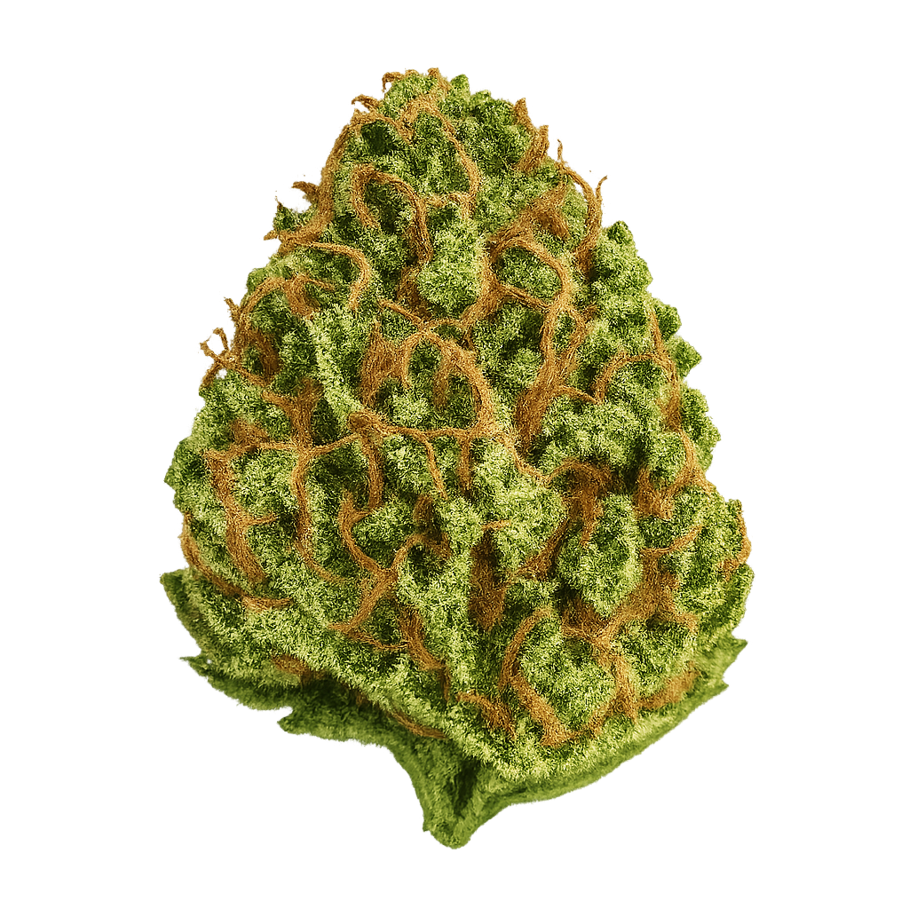 Hindu Kush