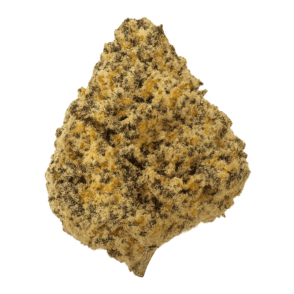 Nimbus easy 26/1 French Cookies