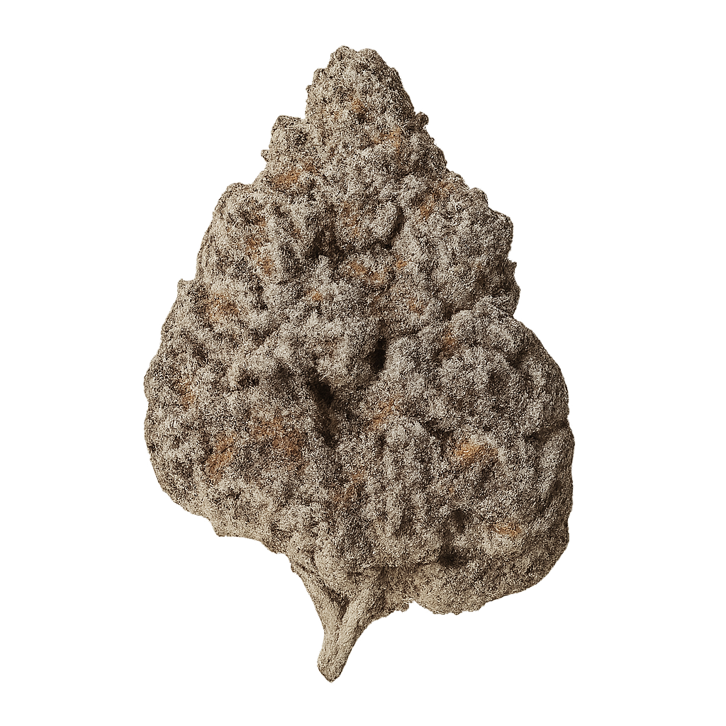 Pavé Runtz