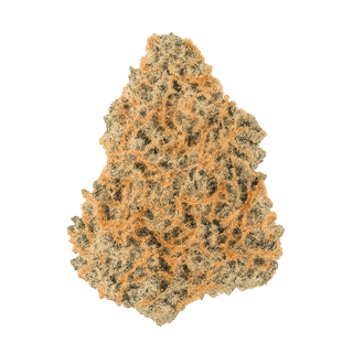 Pedanios 31/1 PND CA "Pink Diesel"