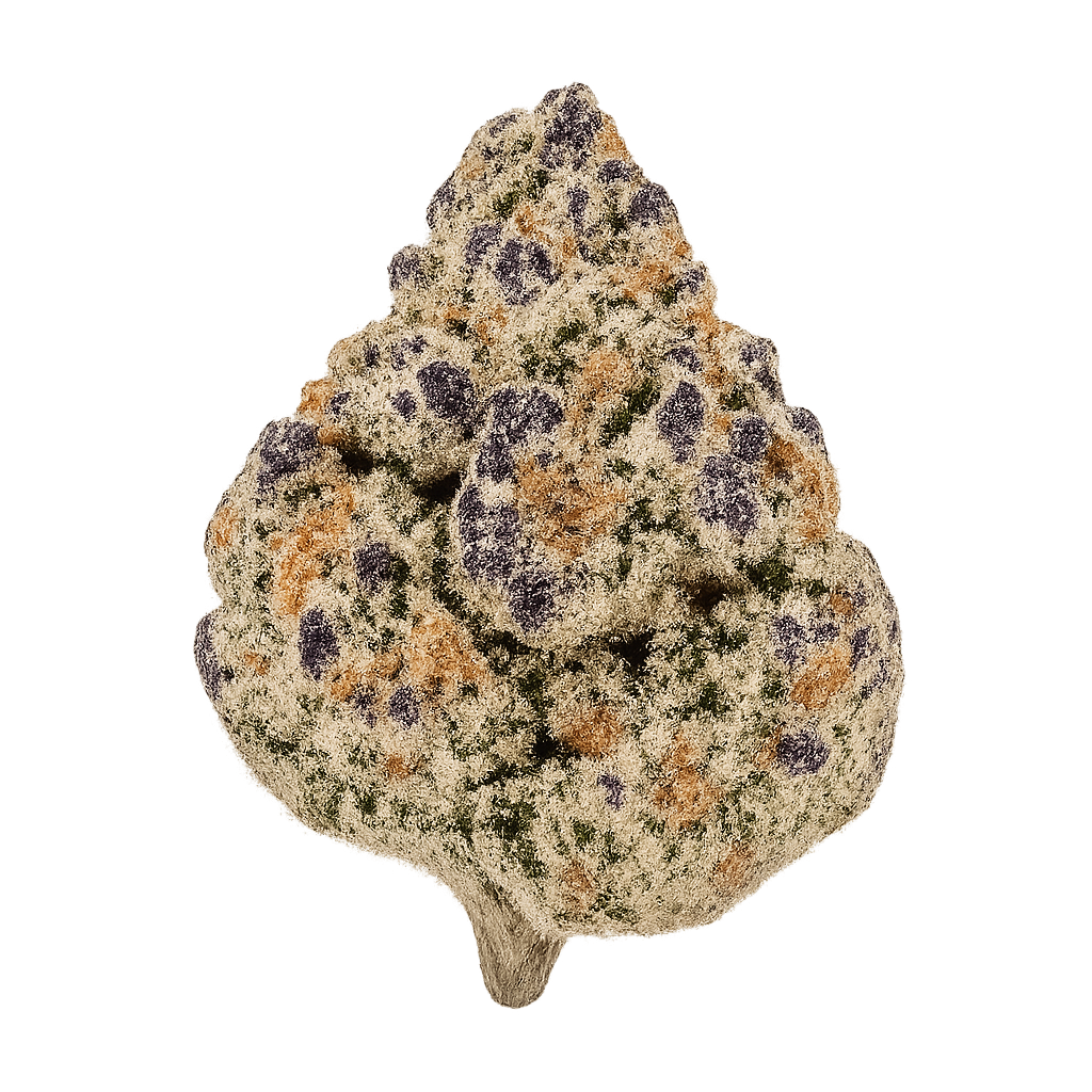 Black Cherry Punch