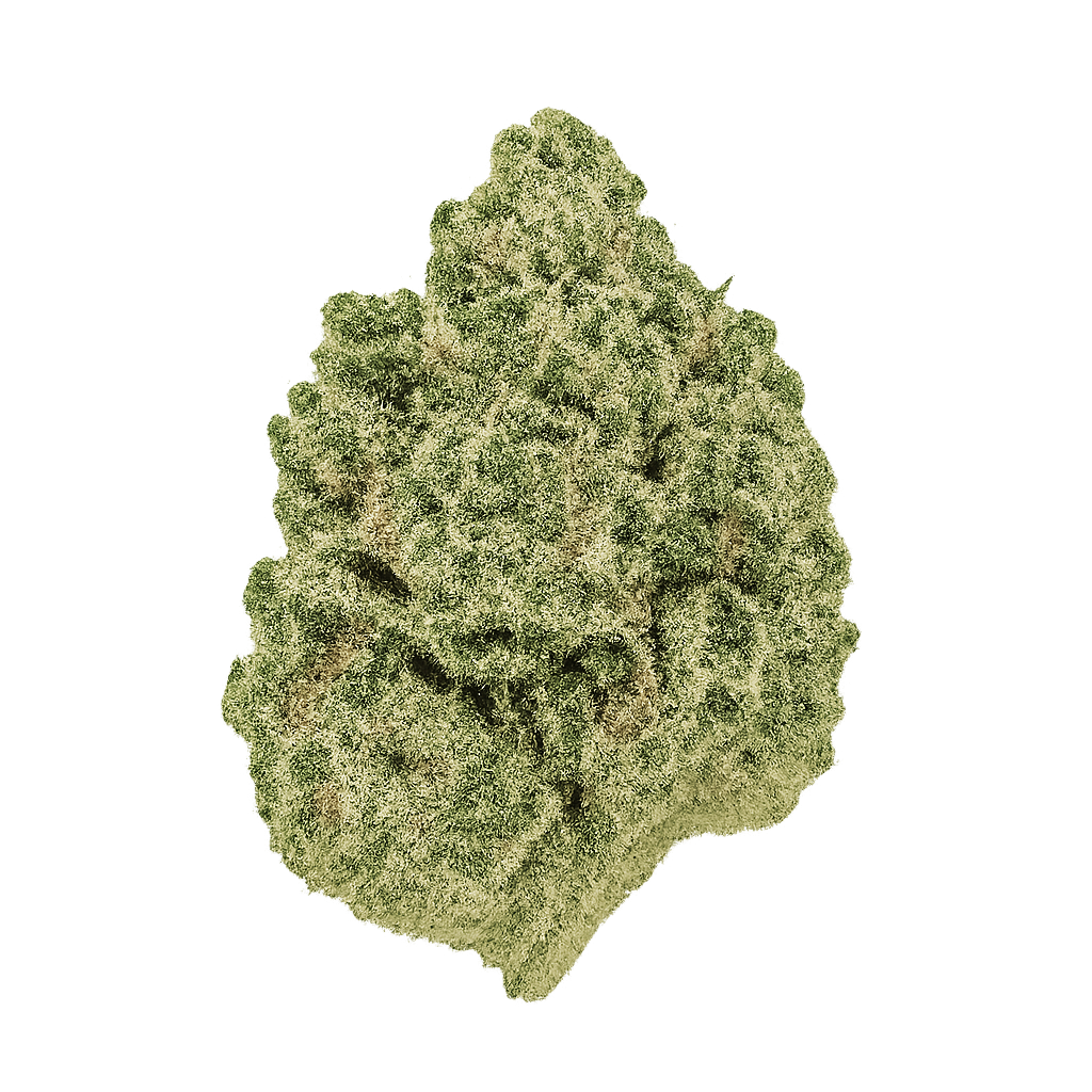 Gorilla Glue