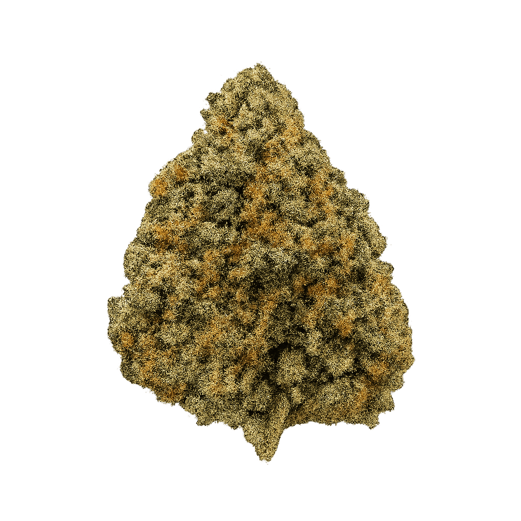 Bedrocan Cannabis Flos 22/1 Afina 