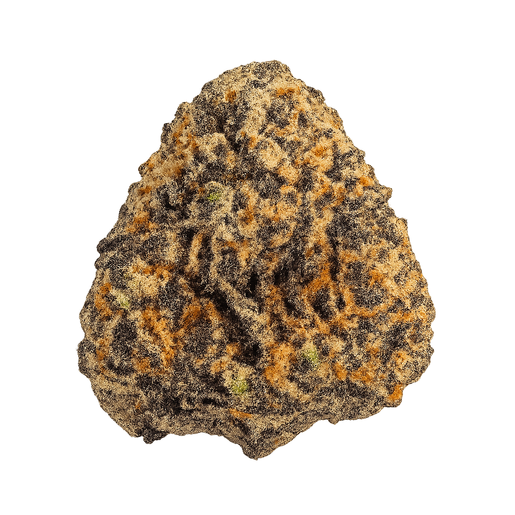 Kush Mintz