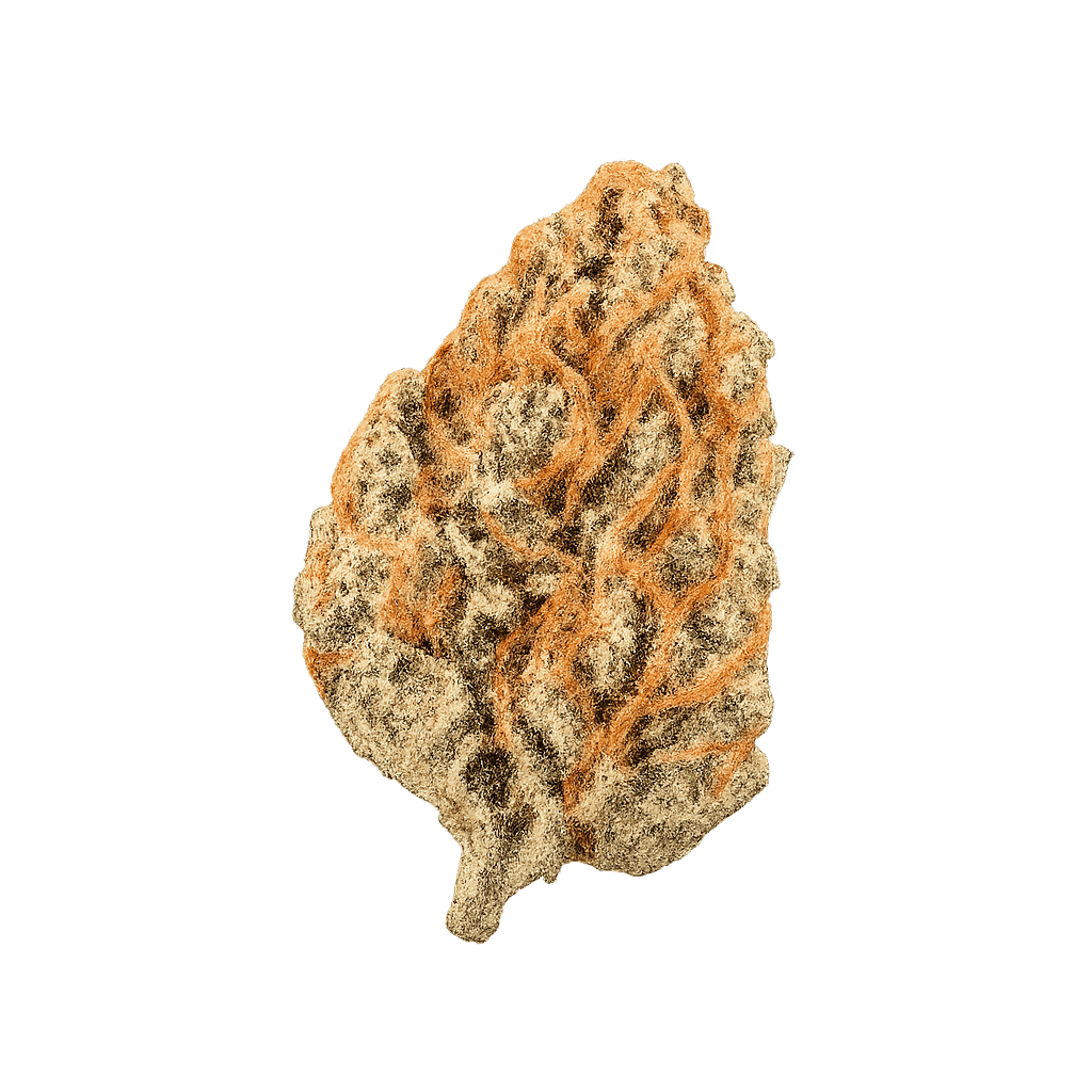 ZOIKS 31/1 LK OG Lime Kush