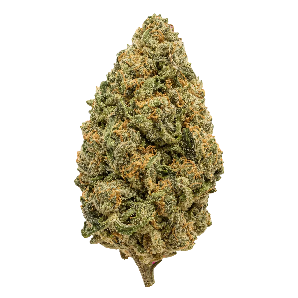 Luana 24/1 APE Sour Ape