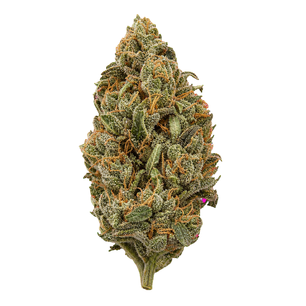 White Widow