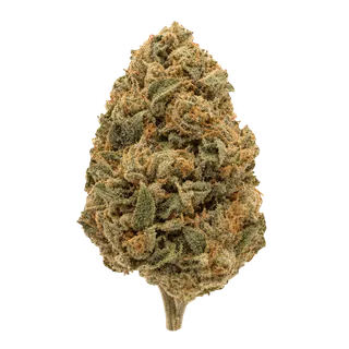 Black Krush