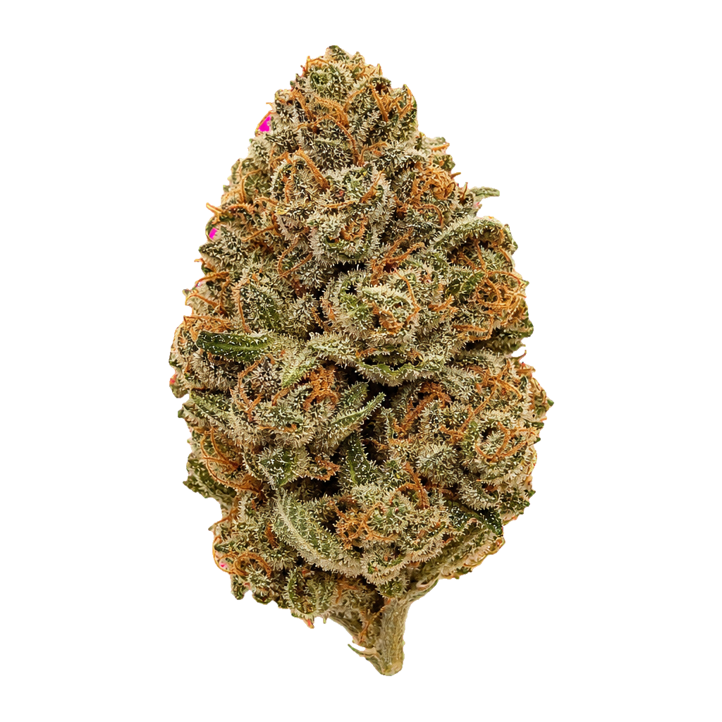 Mandarin Gold