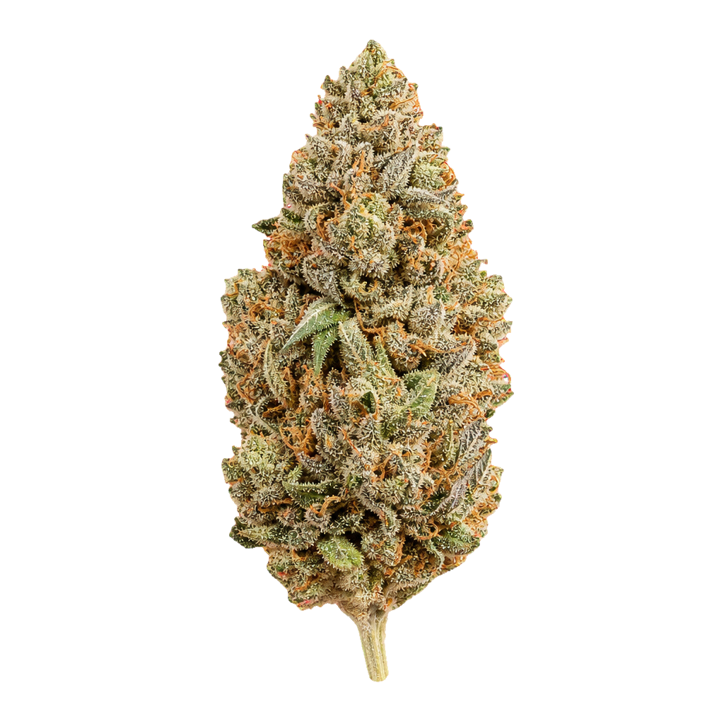 Product GrowMotion CJ 28/1 Cap Junky