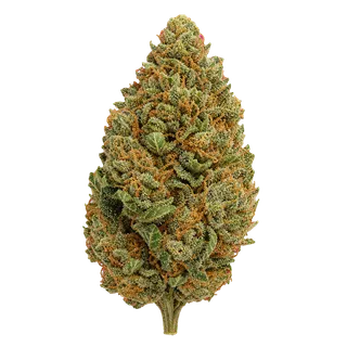Cannabis Flos 25/1 LS PP "Platinum Punch"