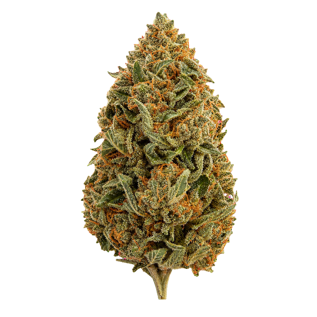 Bubblegum Kush