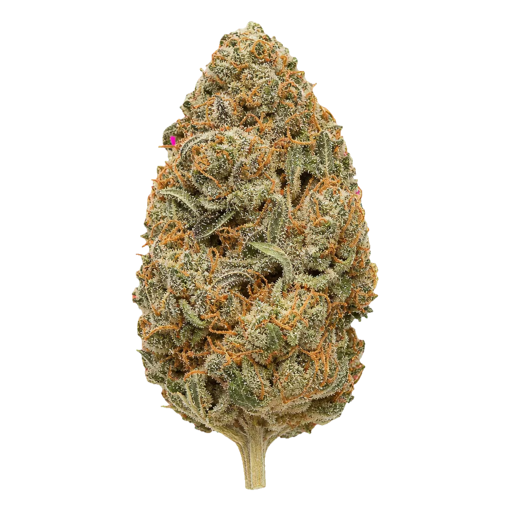 Cannabis flos 27/1 CSF Ku. Bunatic DP