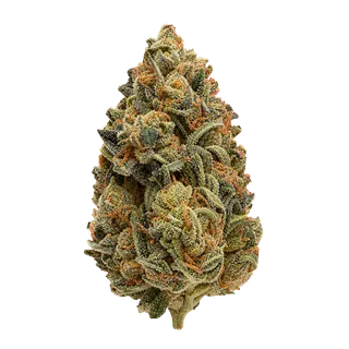 Bud-Jet 21/1 SUS "Sunset Sherbet"