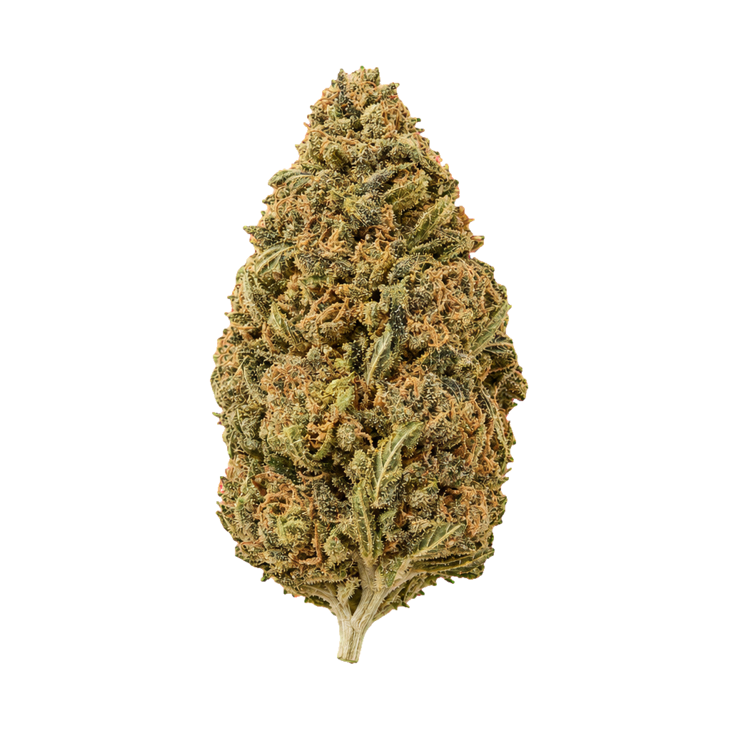 Jack Haze