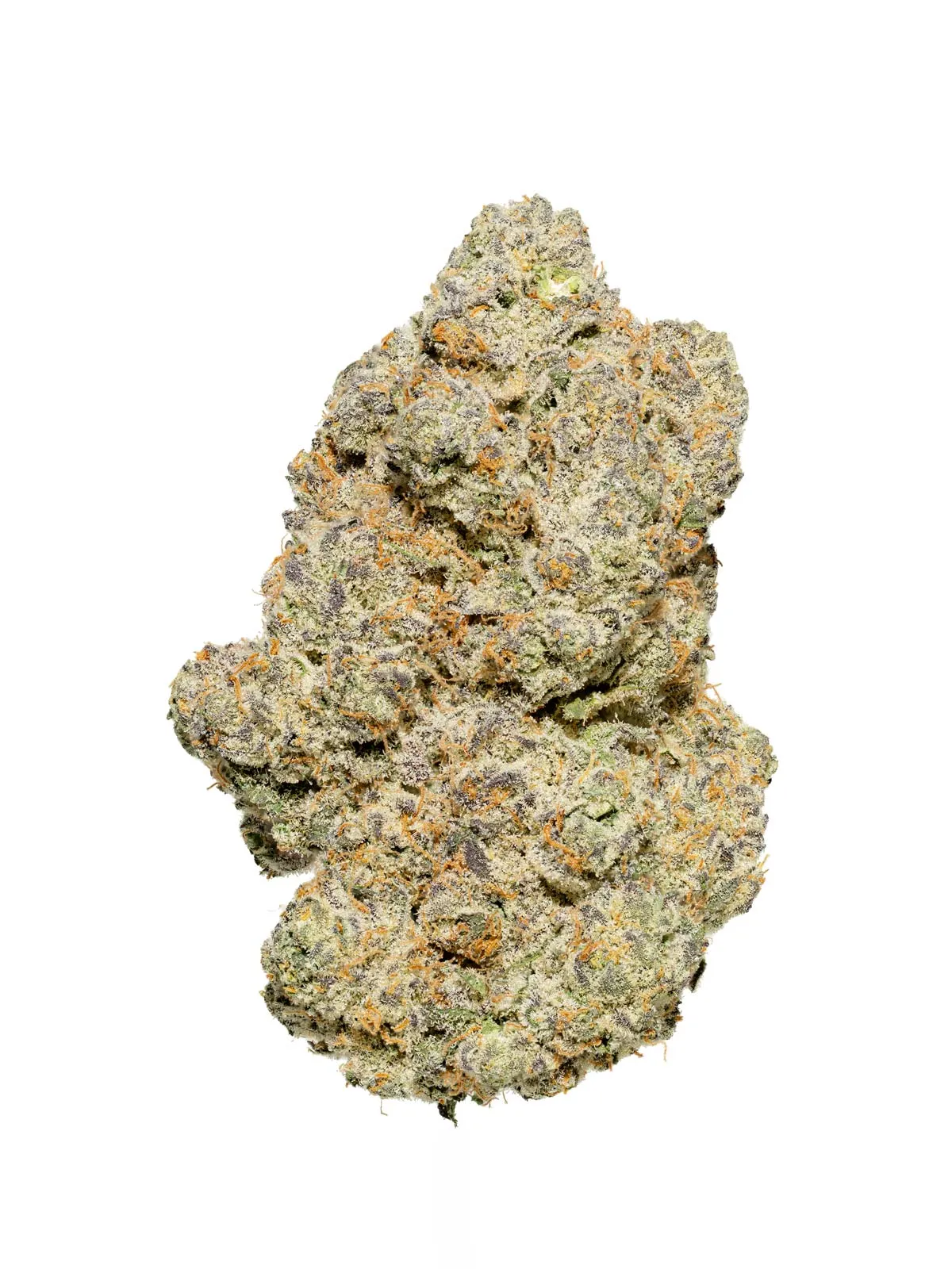 Cannabisprodukt Sainfort SB 26/1 CH Super Boof