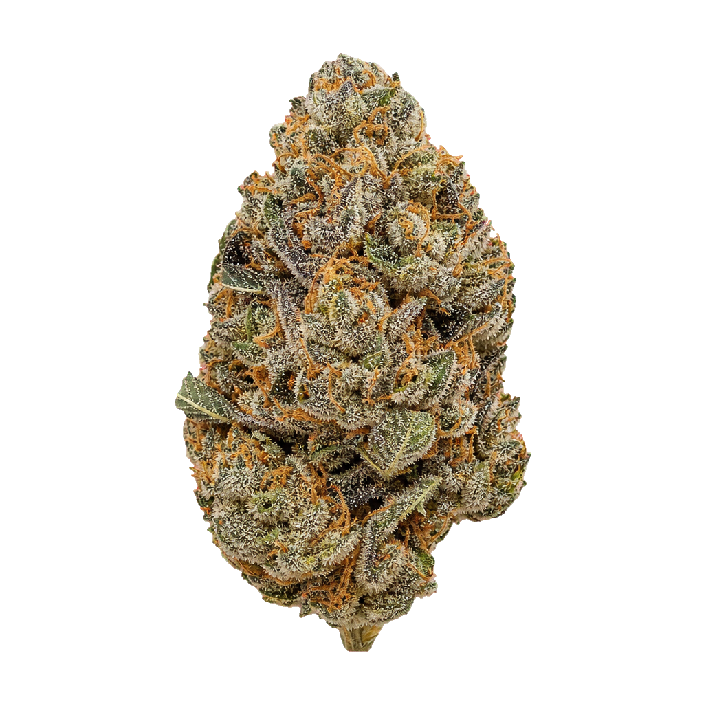 Grape Galena