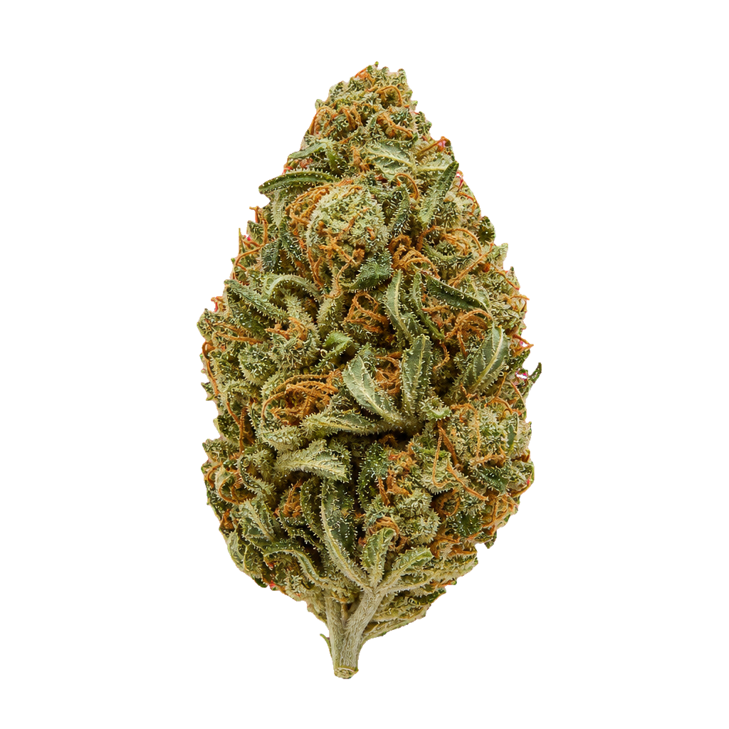 Cannabisprodukt Remexian 24/1 GJY GRG Grape Galena