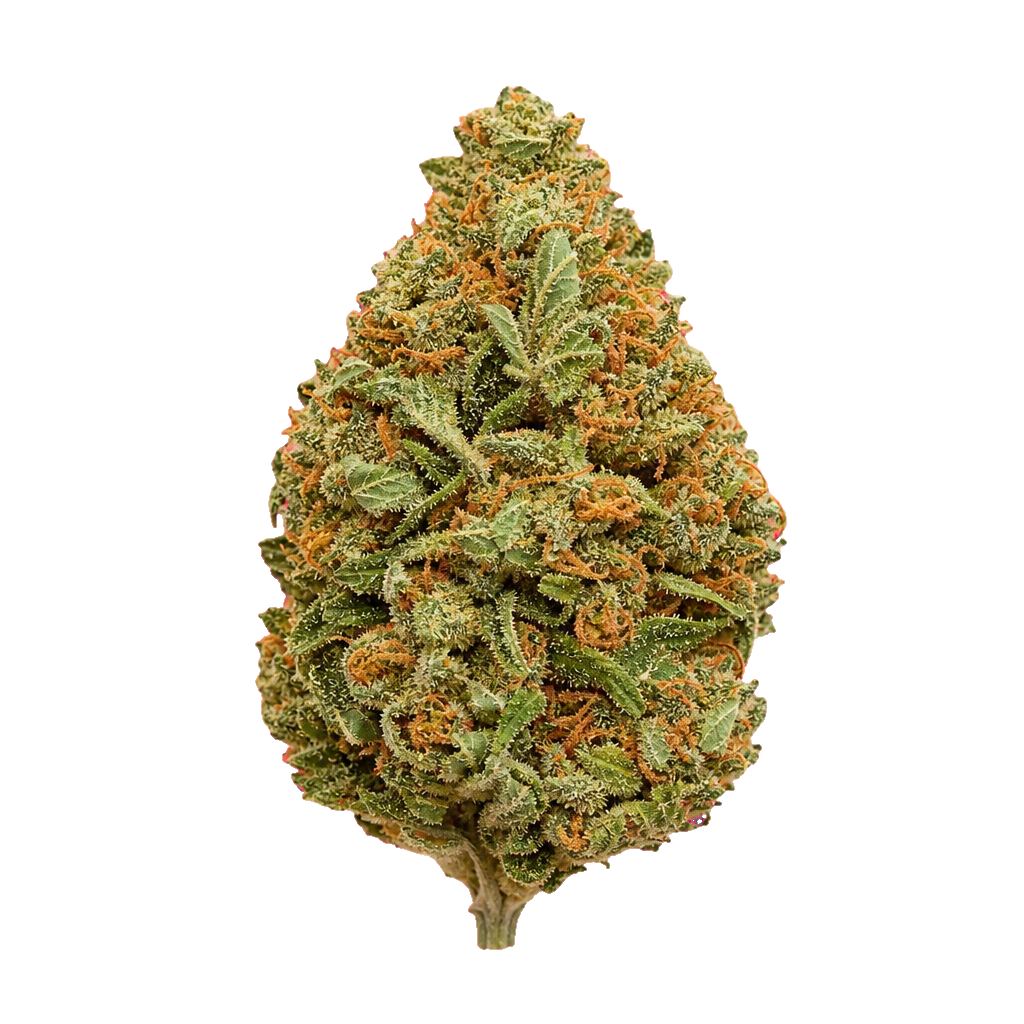 Jack Herer