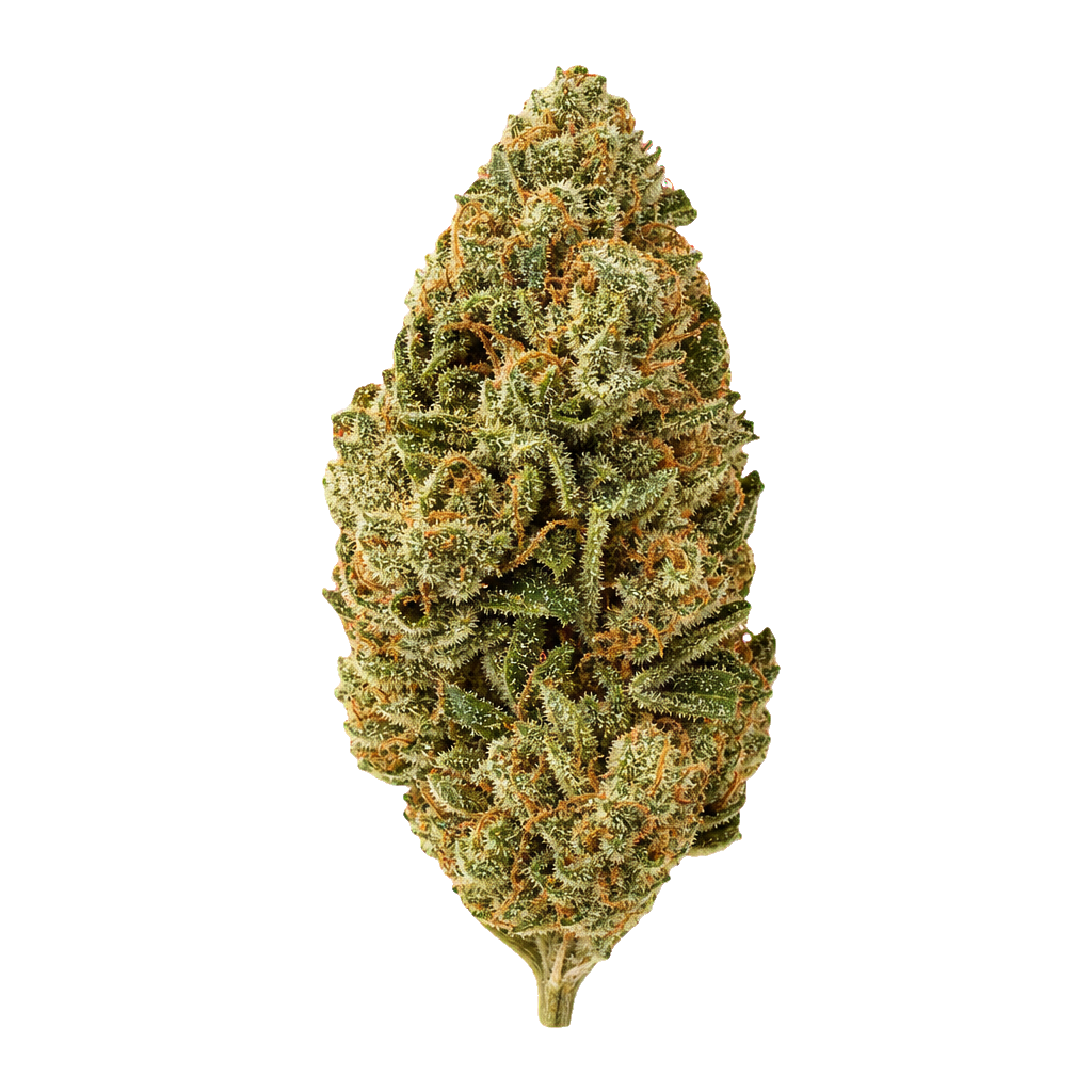 Orange Dreamsicle