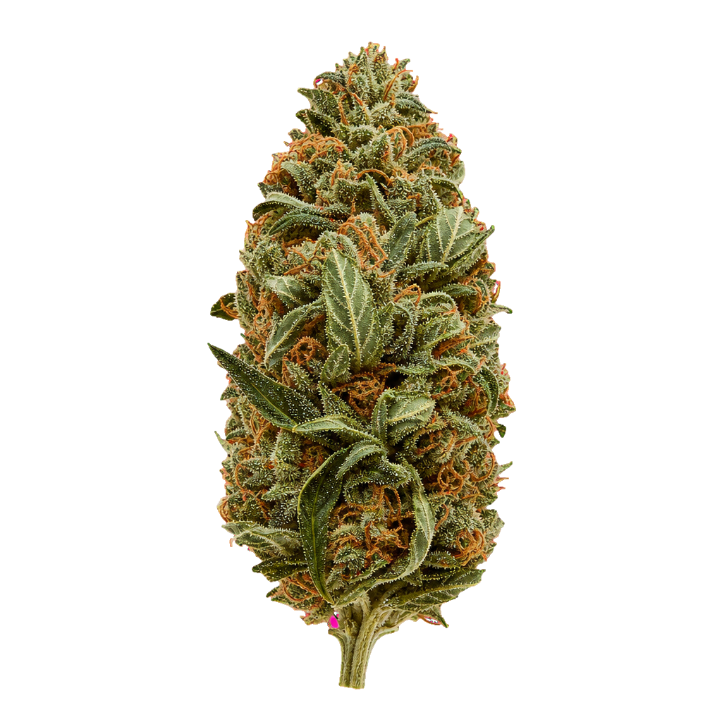 Chemango Kush