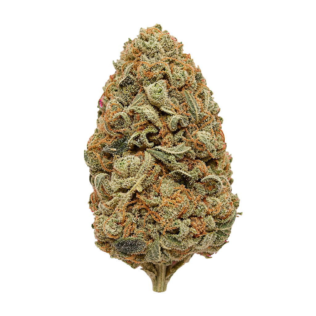 Blue Zoda