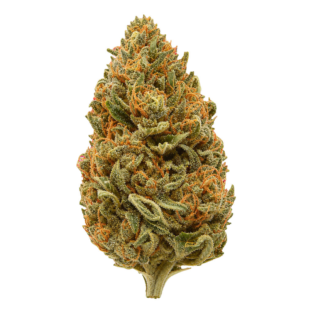 Frosted Fruit Cake