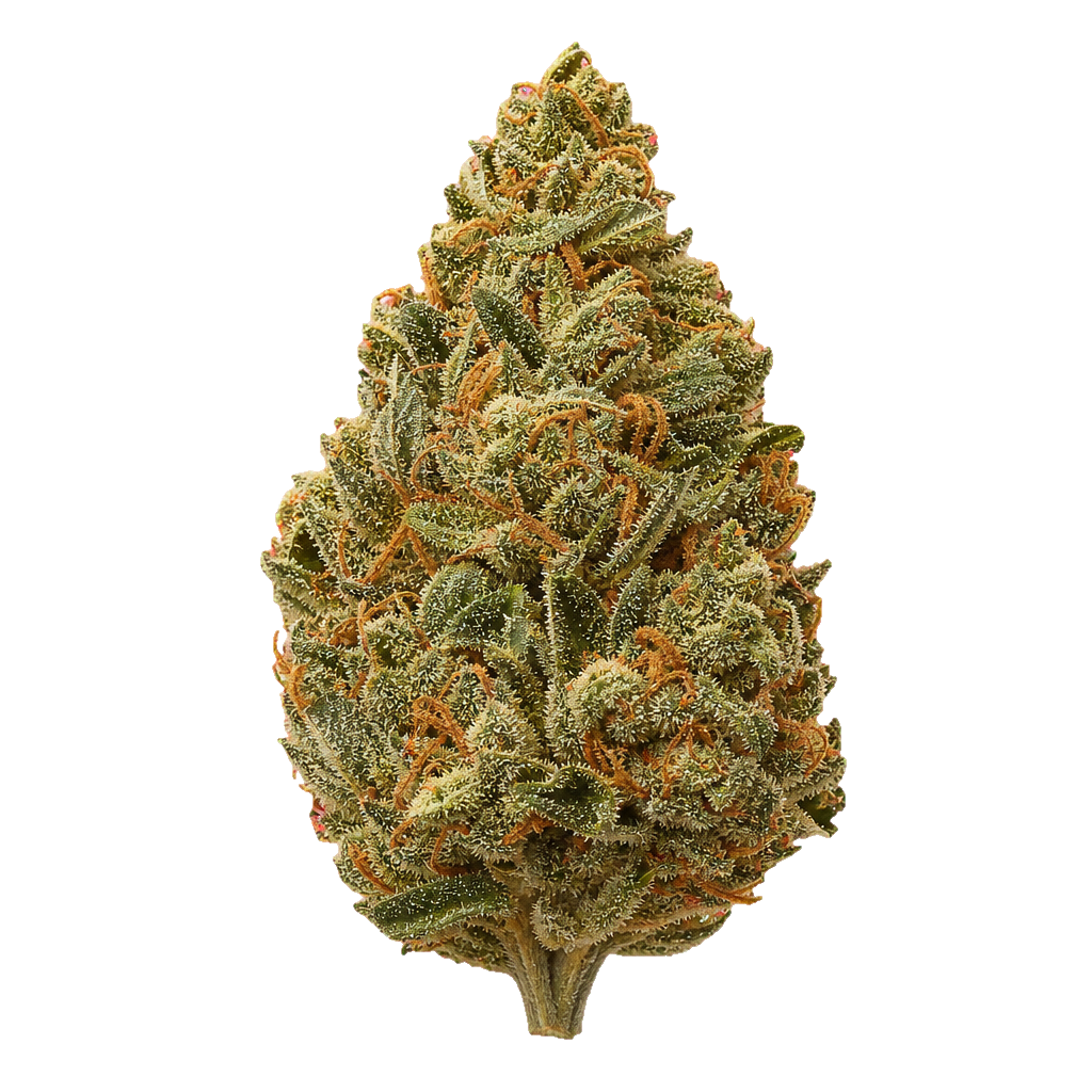 Tangerine Slush