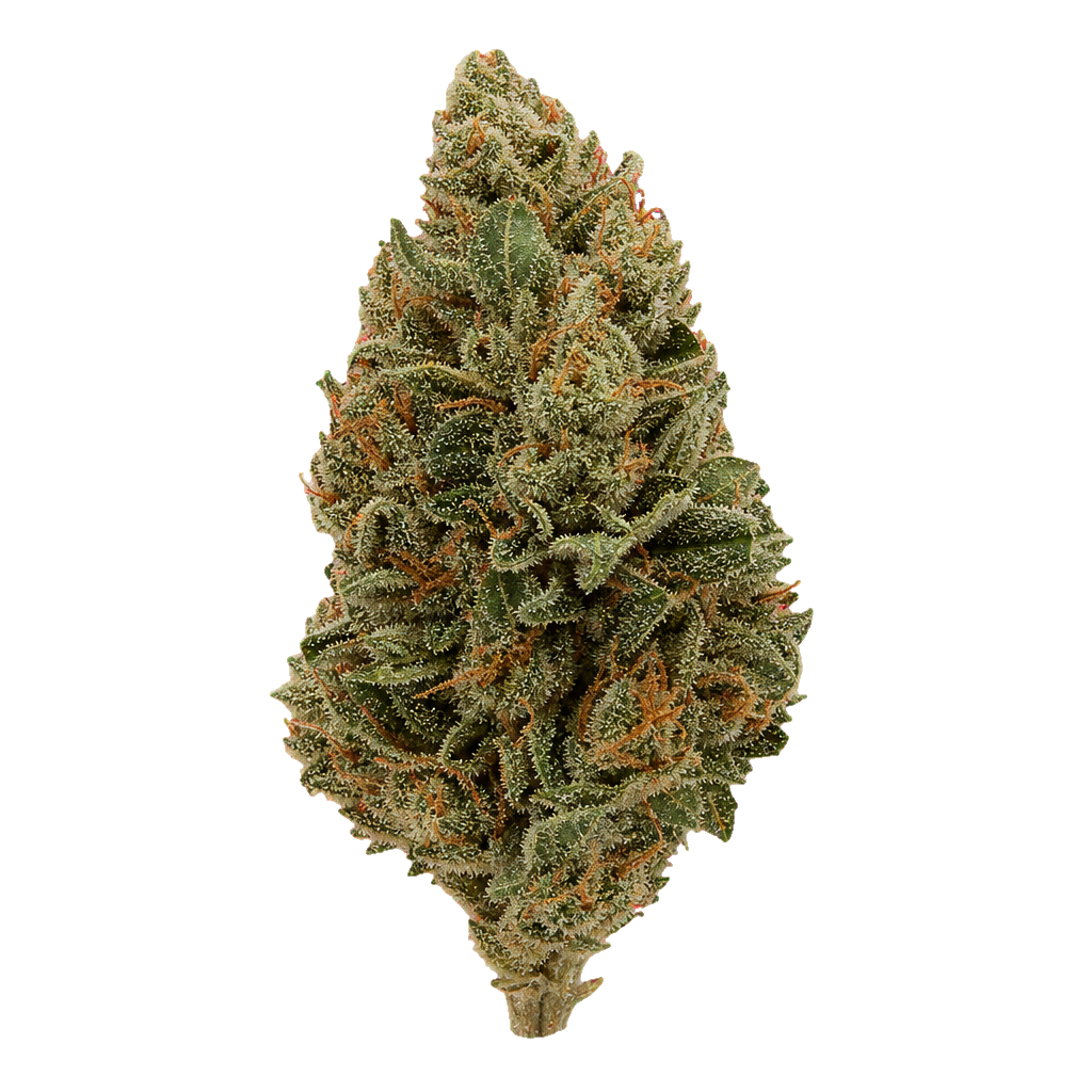 God Cherry Bud