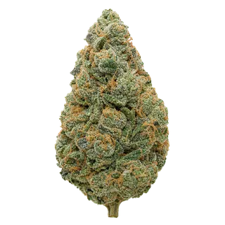 enua 30/1 AT2 MAM CA "Miracle Alien Mints"