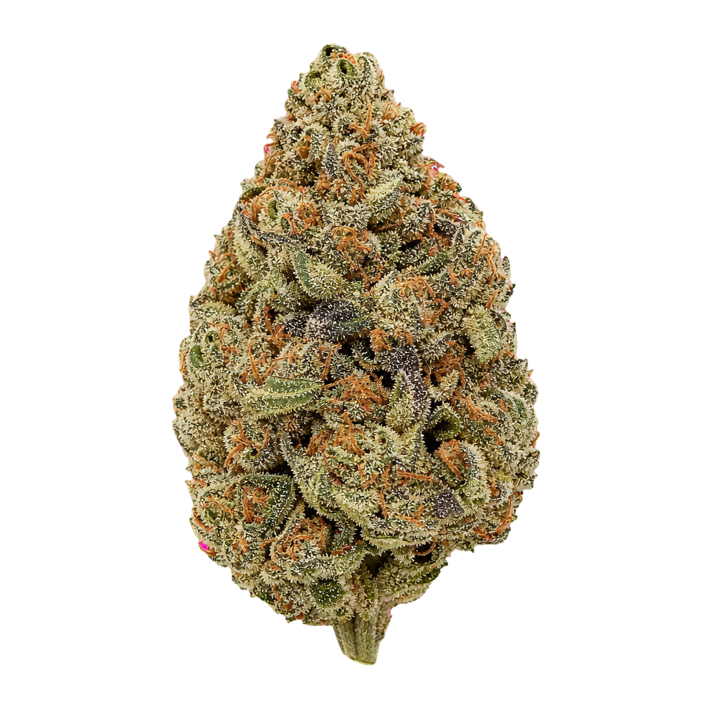 Babo Kush
