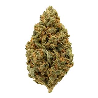 remexian 33/1 MTL JUC "Jungle Cake"