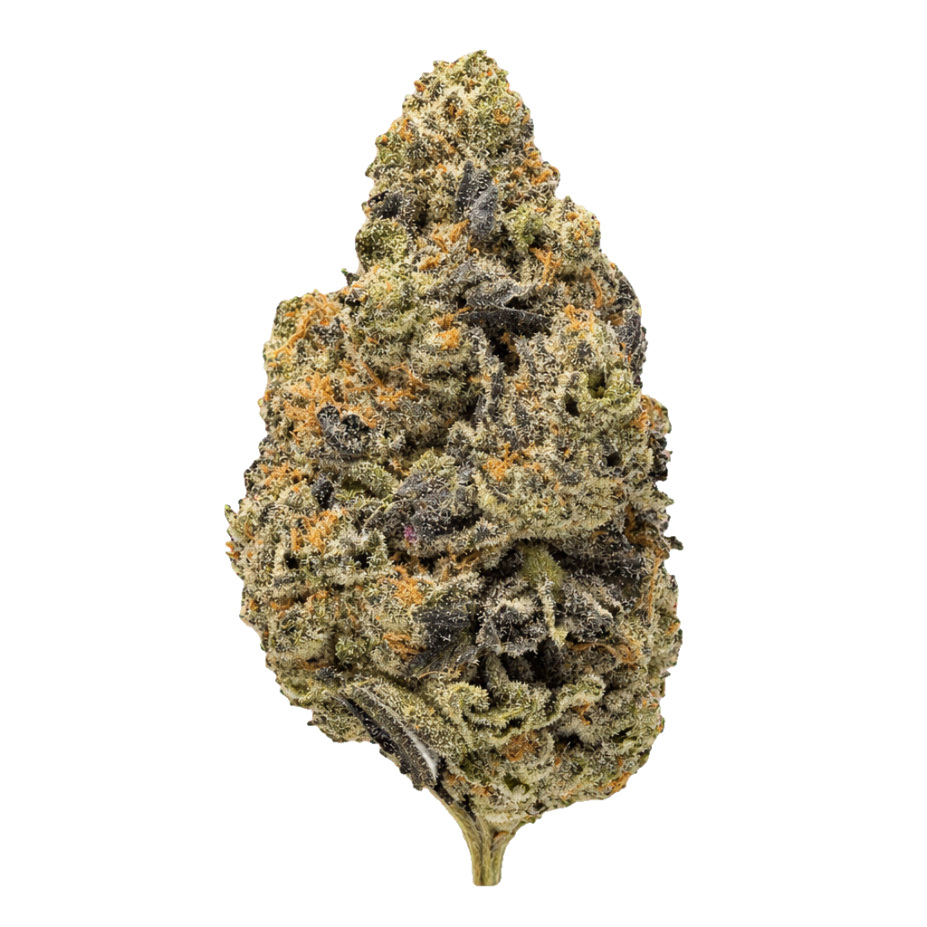 Kush Mintz
