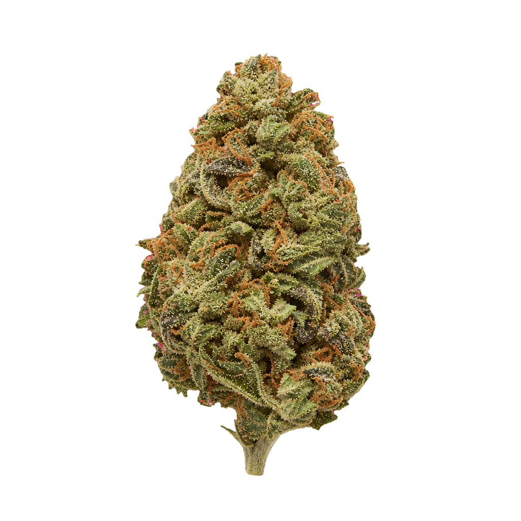 Lilac Mandarin