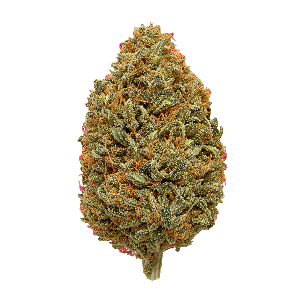 Orange Sherbet