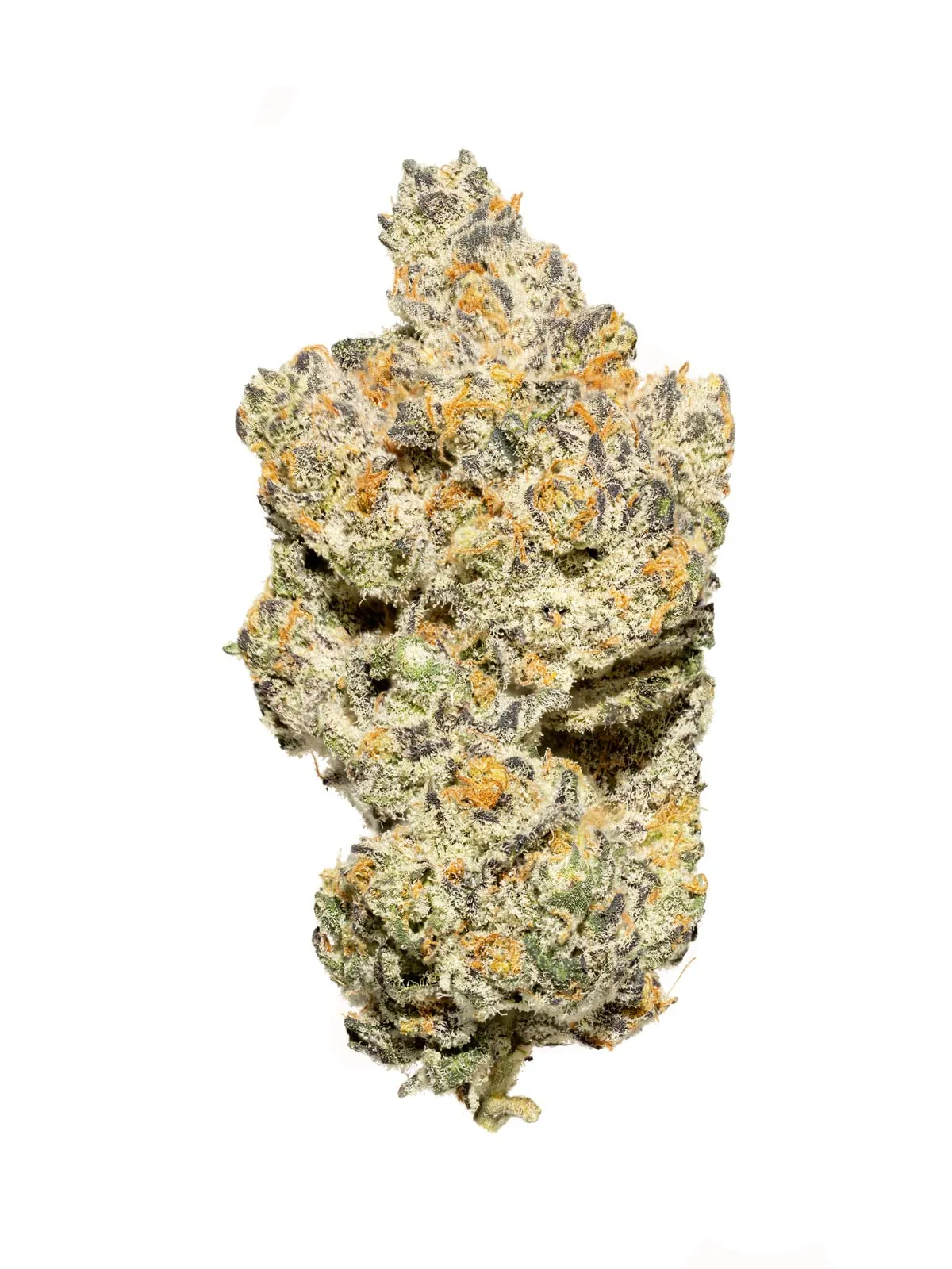 Cannabisprodukt Sainfort PUMI 22/1 CH Pure Michigan