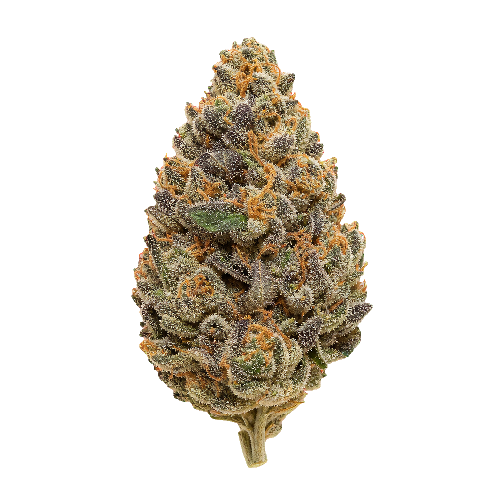 Platinum Oranges
