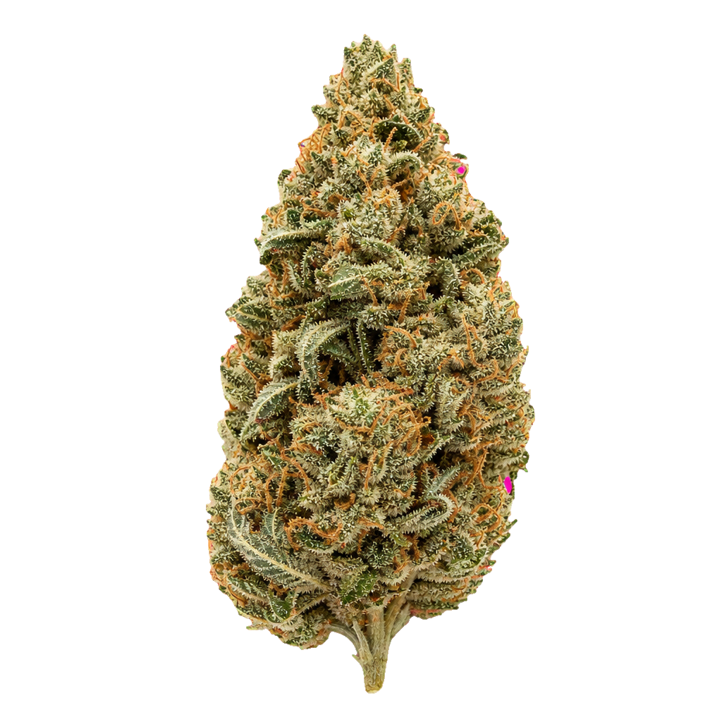 Master Kush