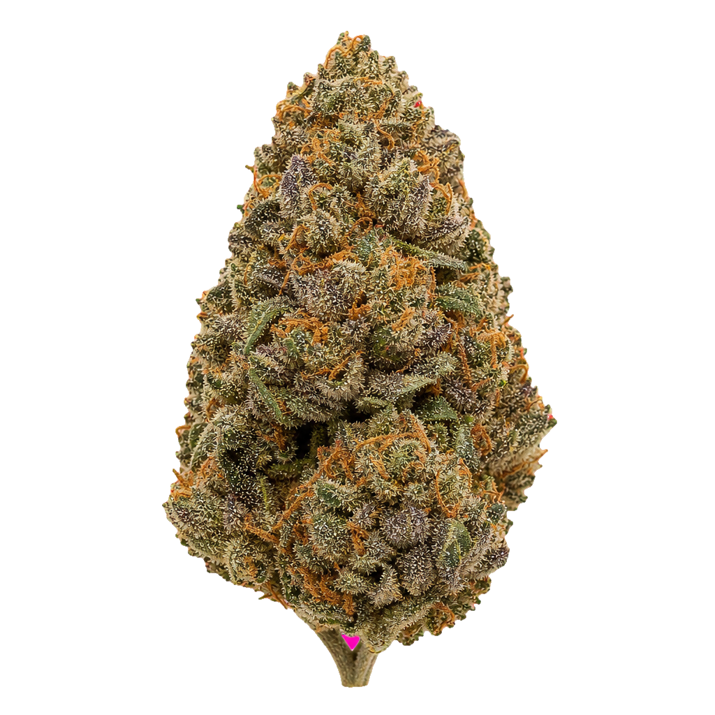 Black Cherry Mint