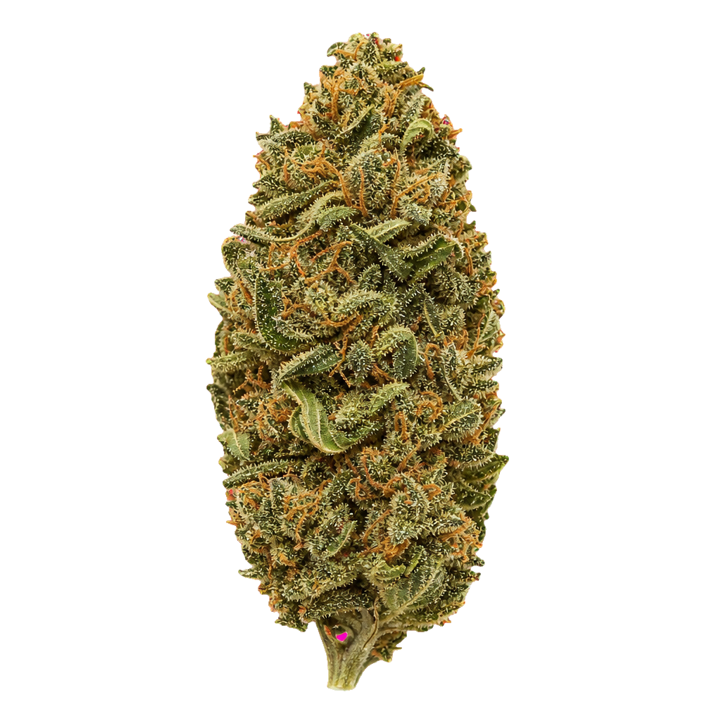 White Widow