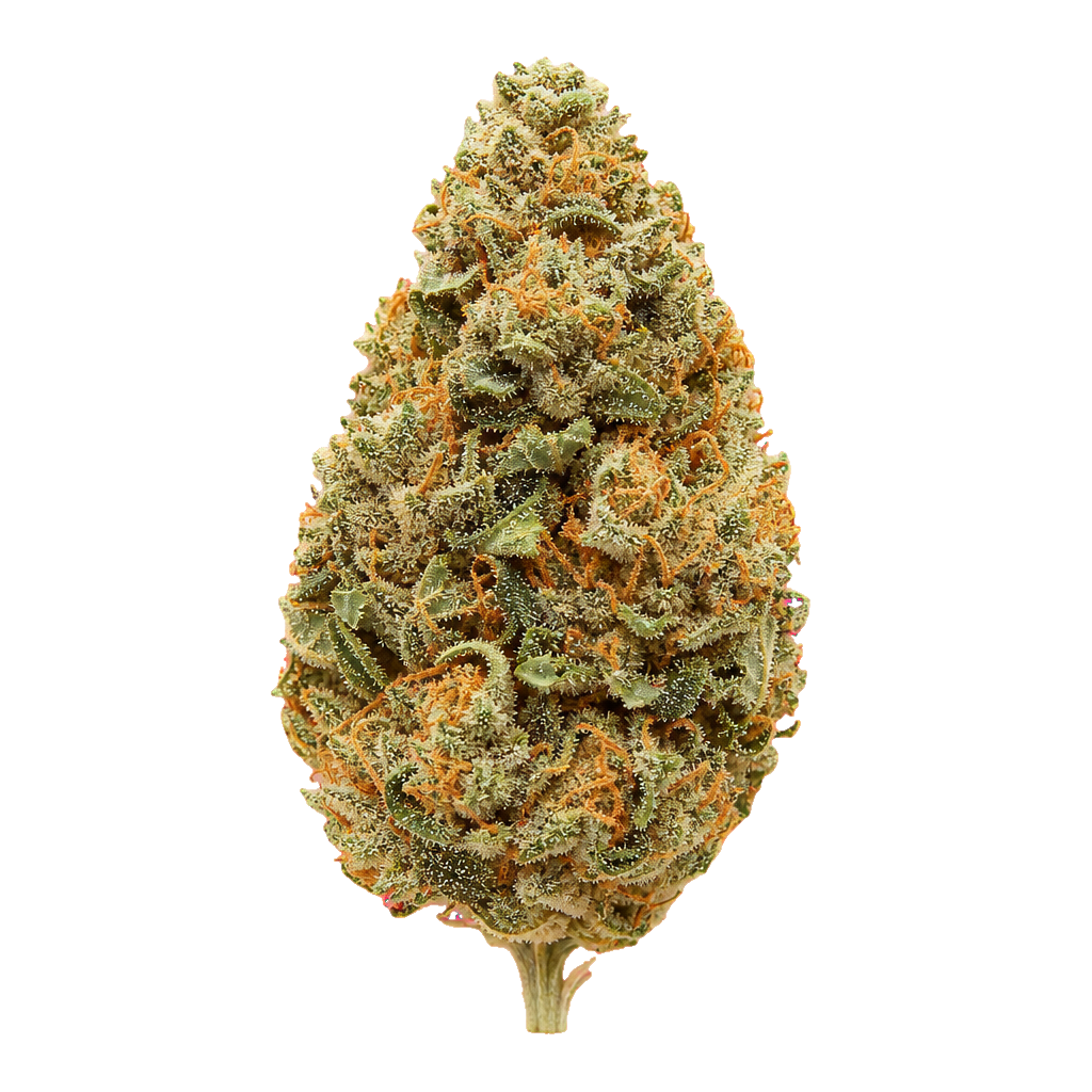 Cannabisprodukt HiDealz 18/1 MS MCO smalls Mimosa Cookies