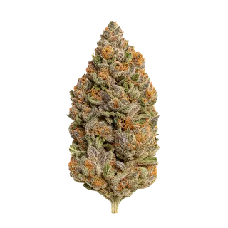 Ekolicious 27/1 GPG "Grape Goat"