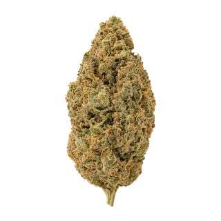 Wellford Peak 30/1 CA T95 "T95 (Tres Dawg x I-95)"