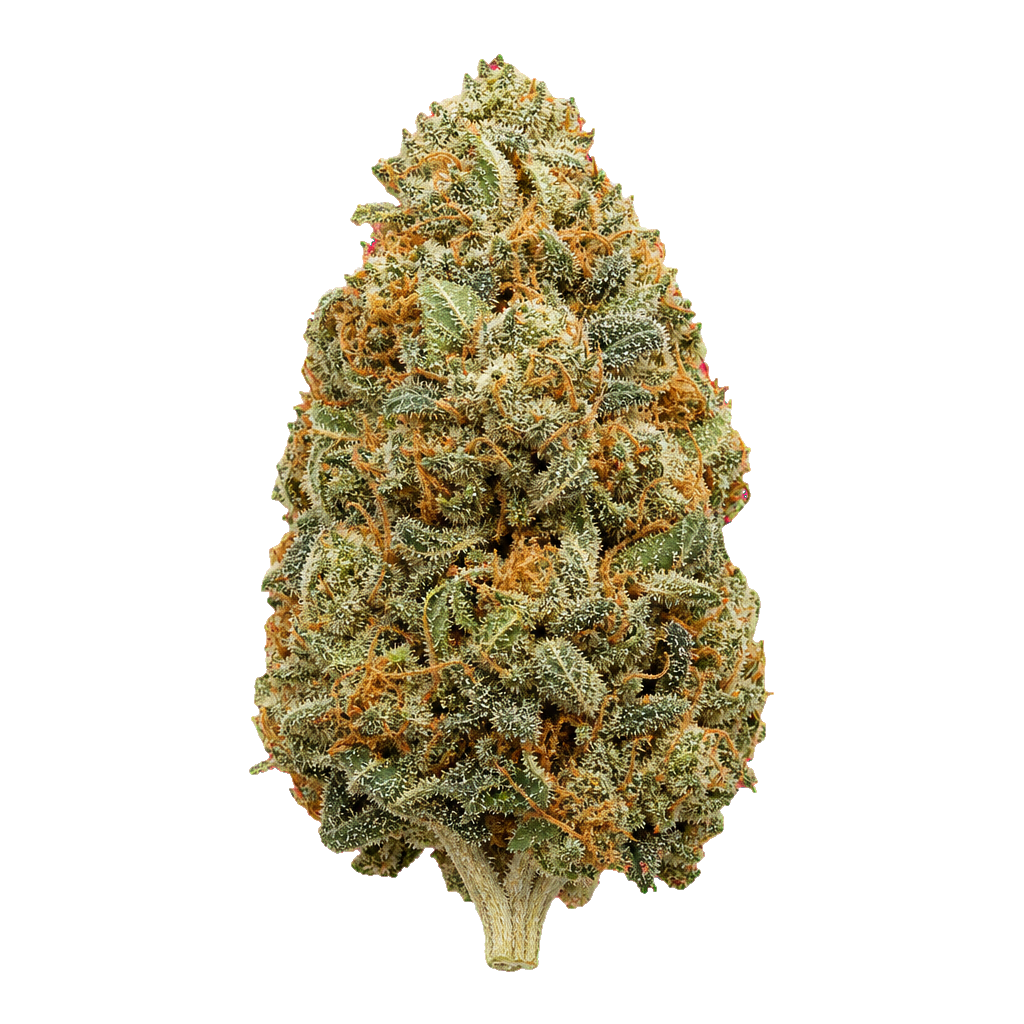 Animal Cookies