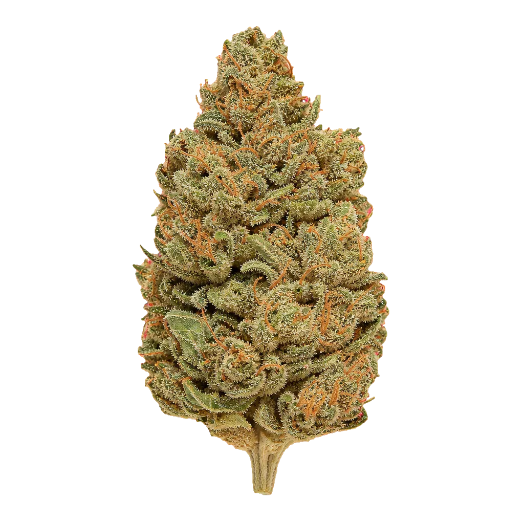 PHCANN Exotics 32/1 Spritzer