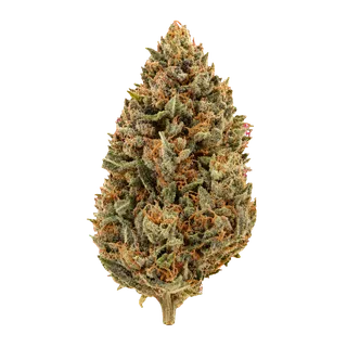 BC Green TCK 30/1 "Tiger Cake"
