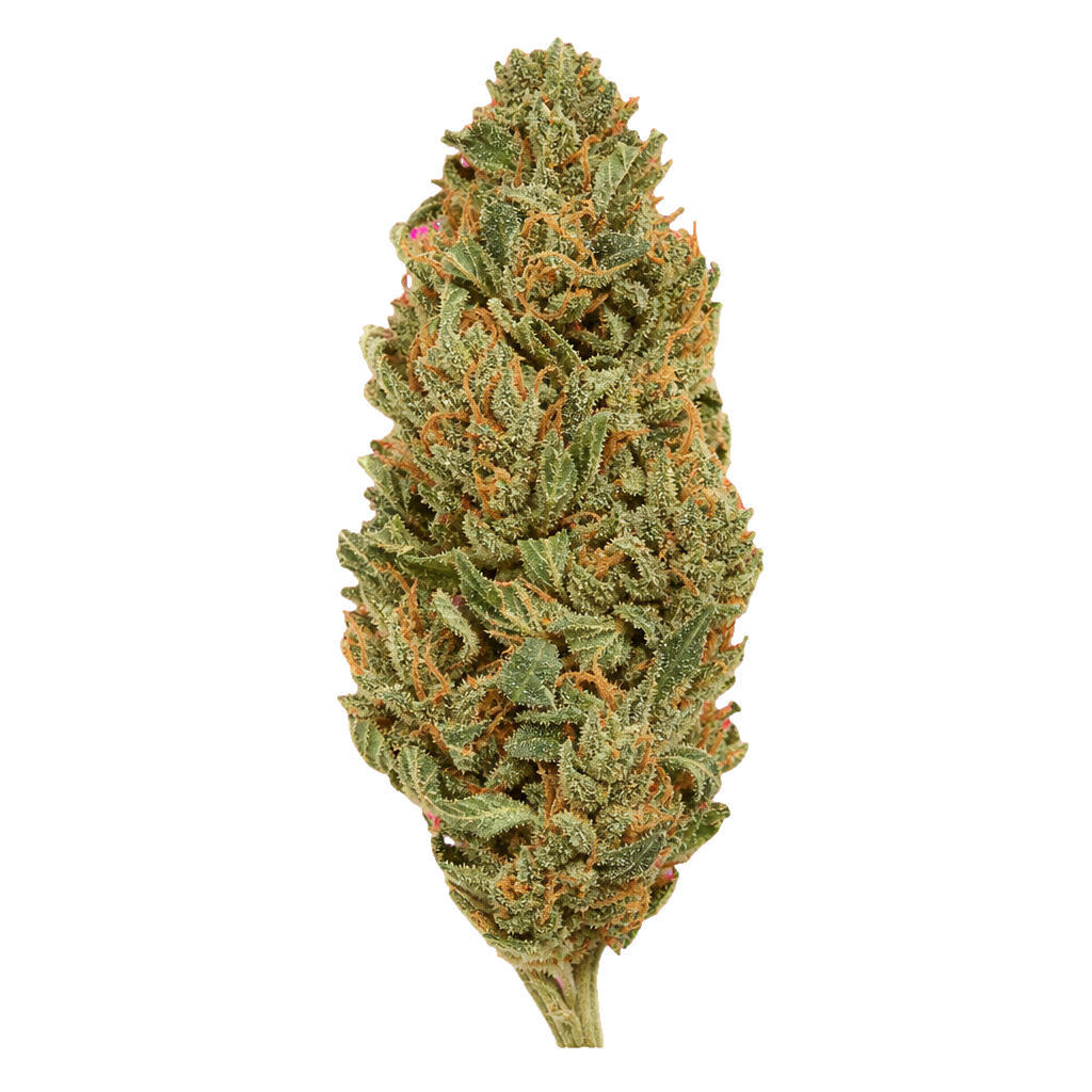 Liberty Haze